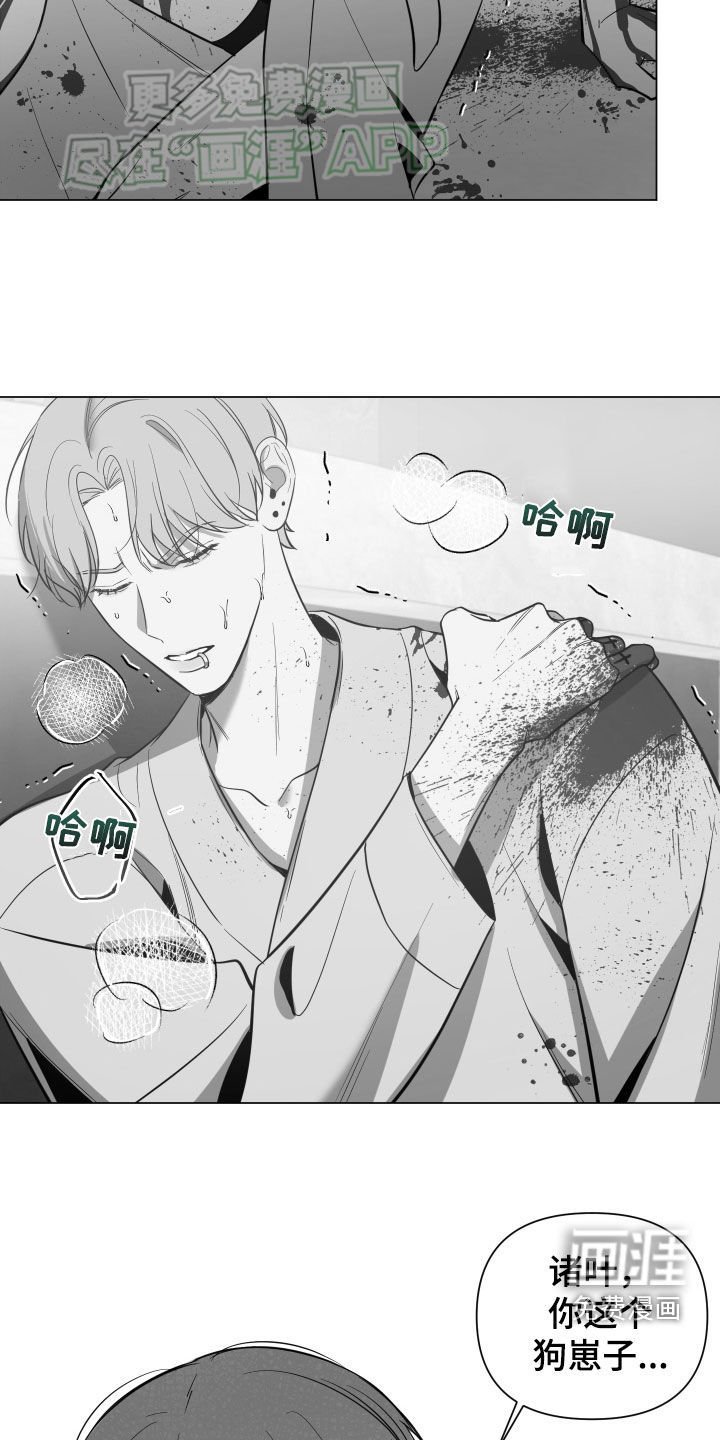 第53章：真是找死