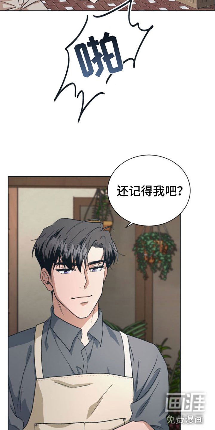 第6章： 开拍