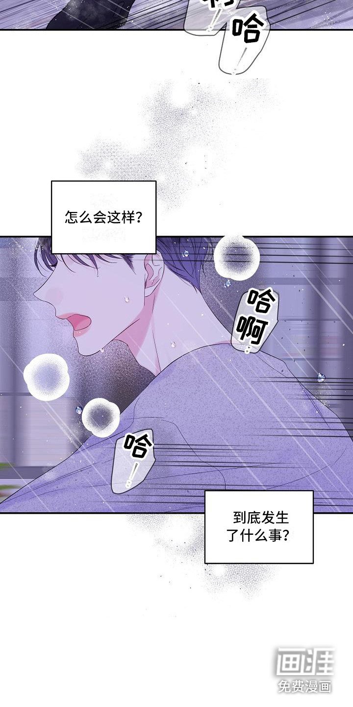 第11章：迷茫
