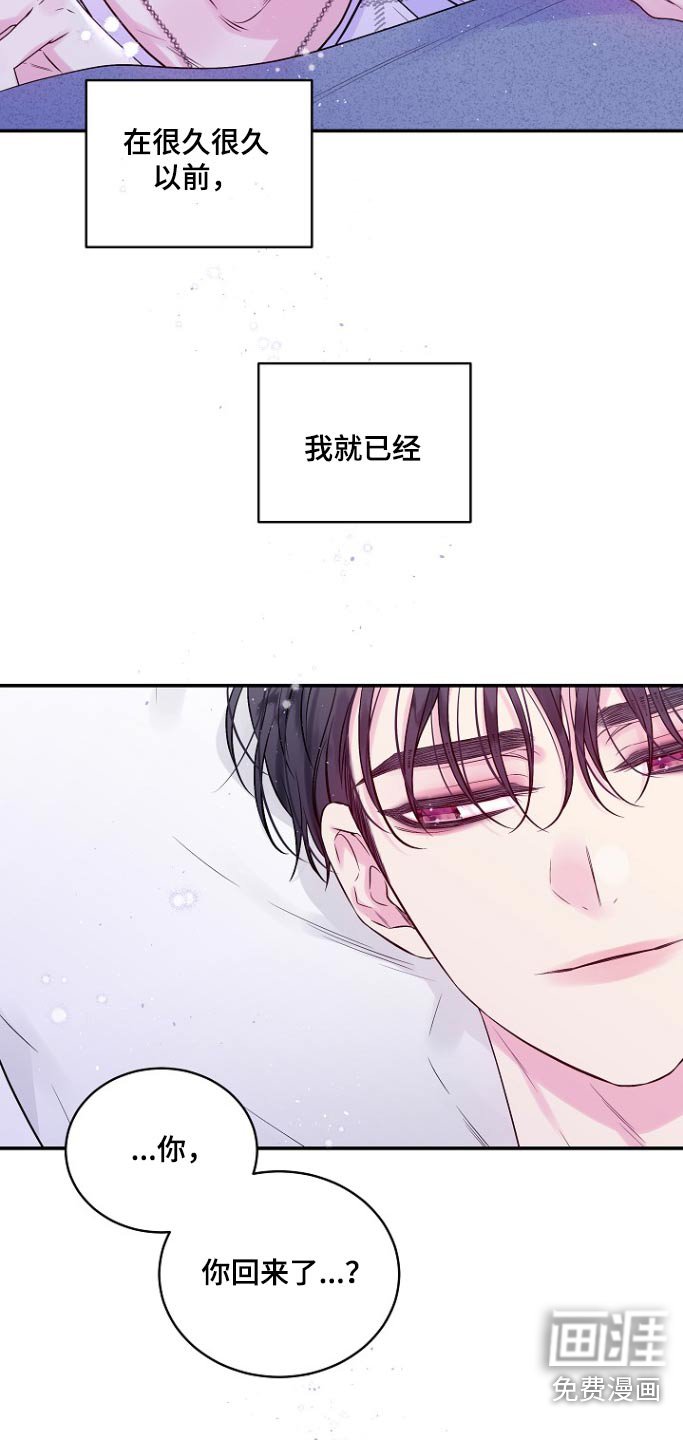 第114章：你回来了