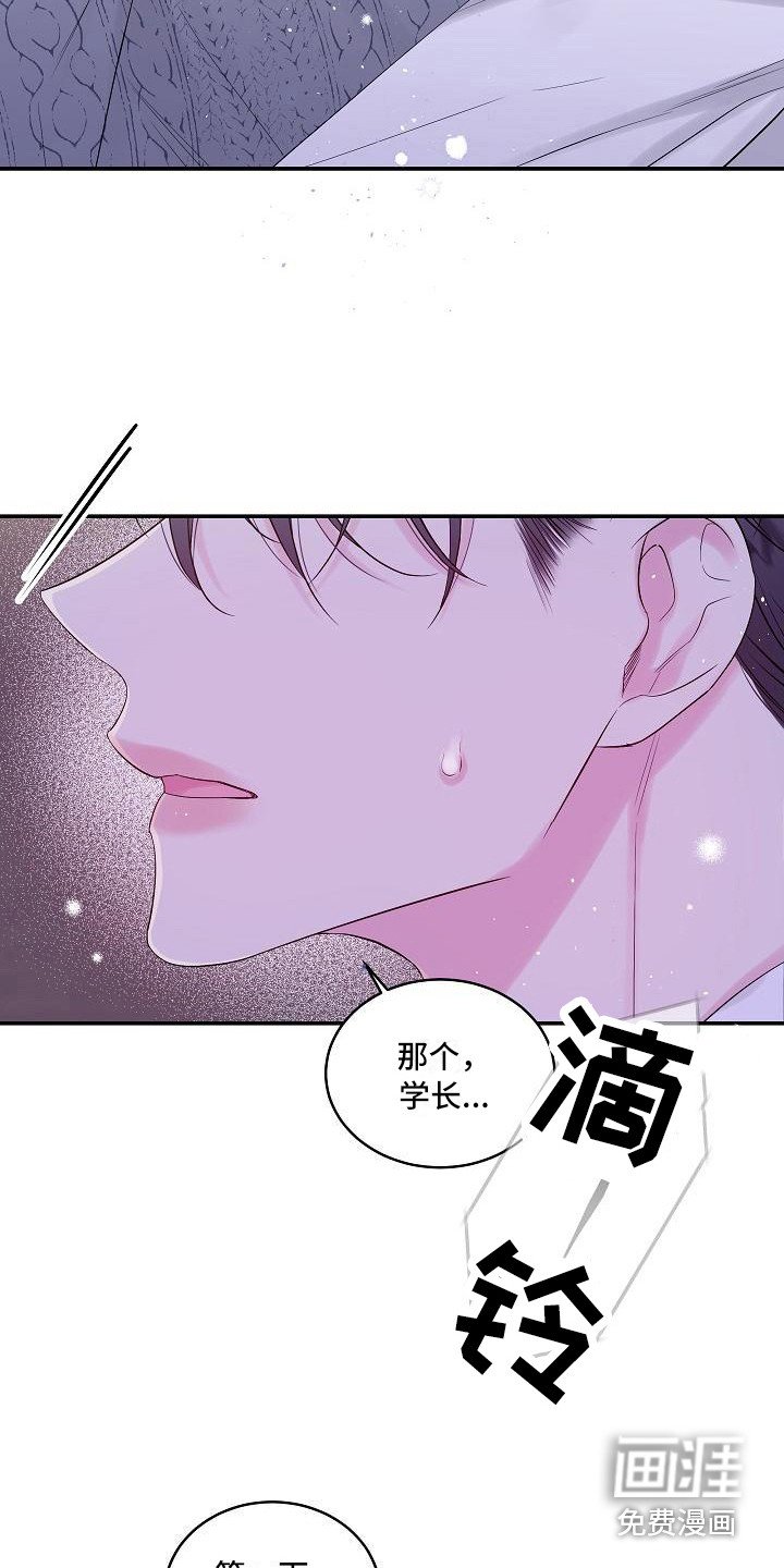 第8章：不必真心