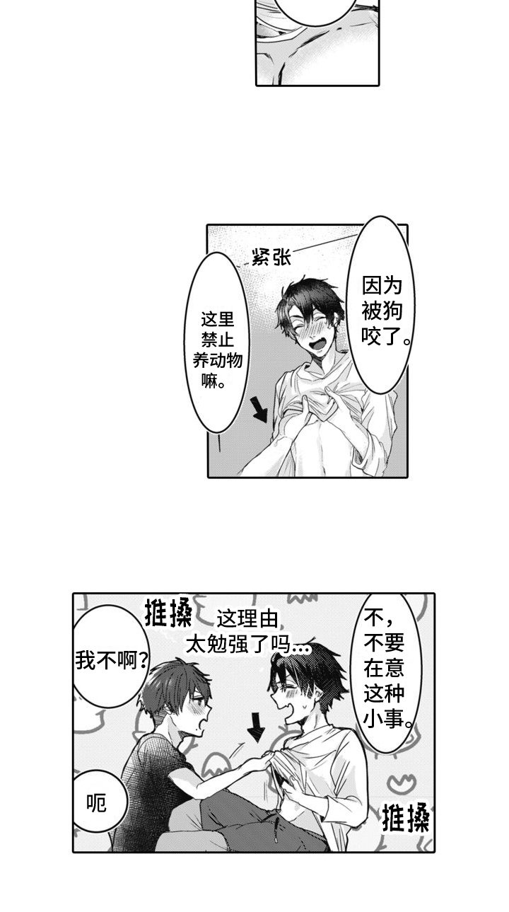 第3章：发现