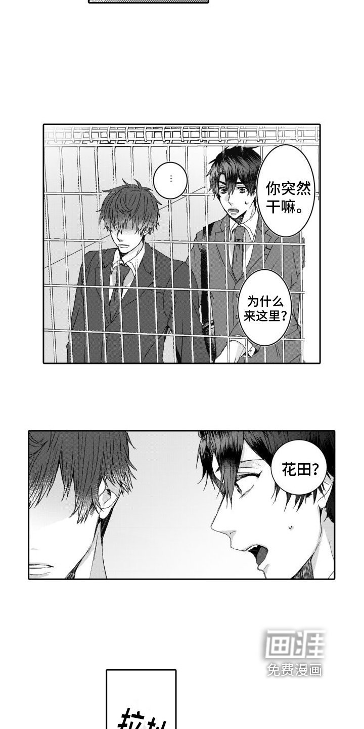 第7章：坦白
