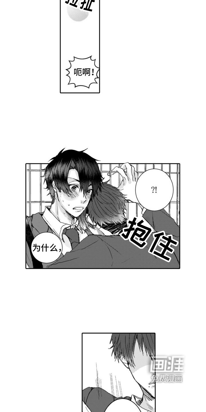 第7章：坦白