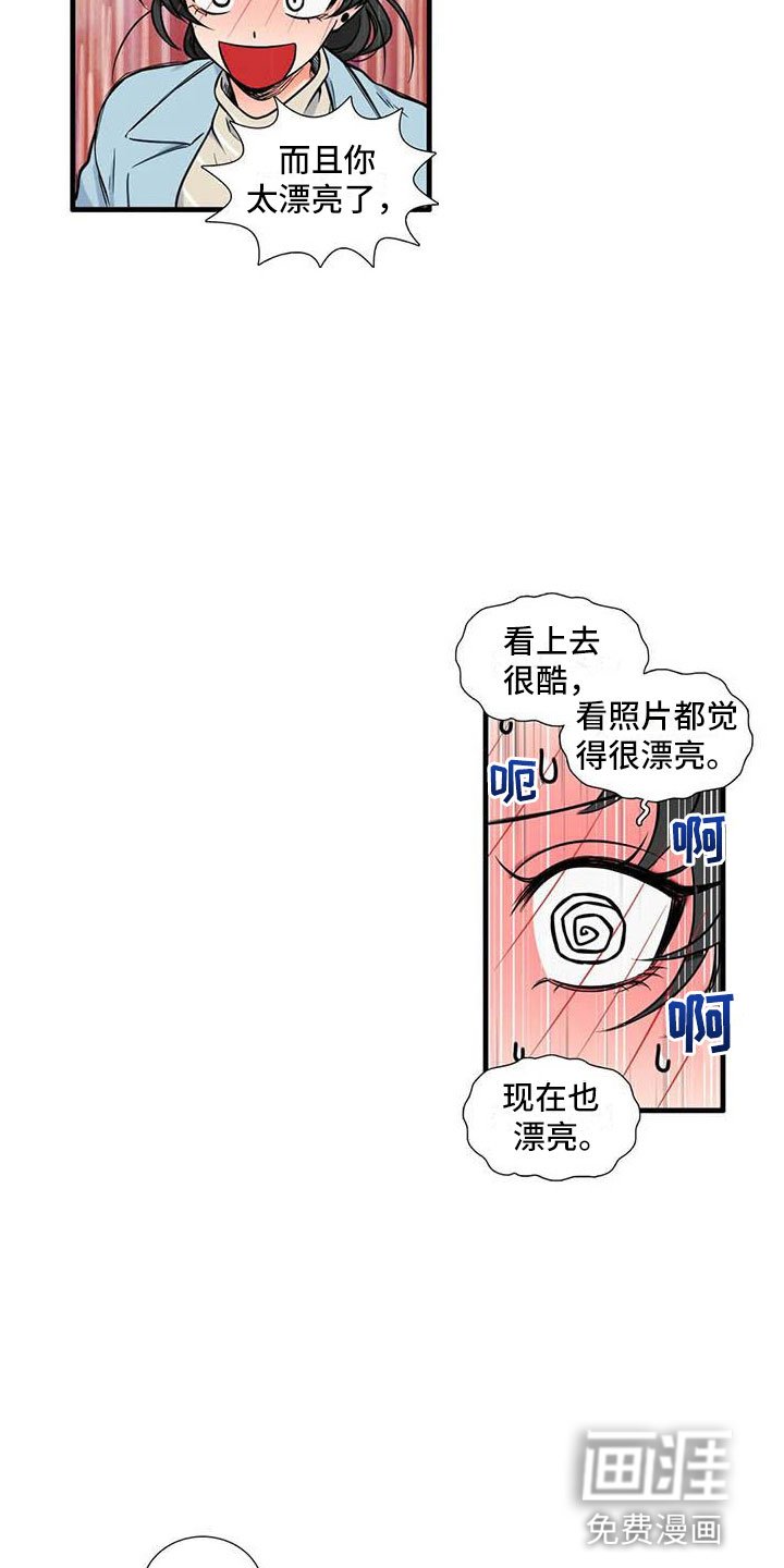 第12章：认识