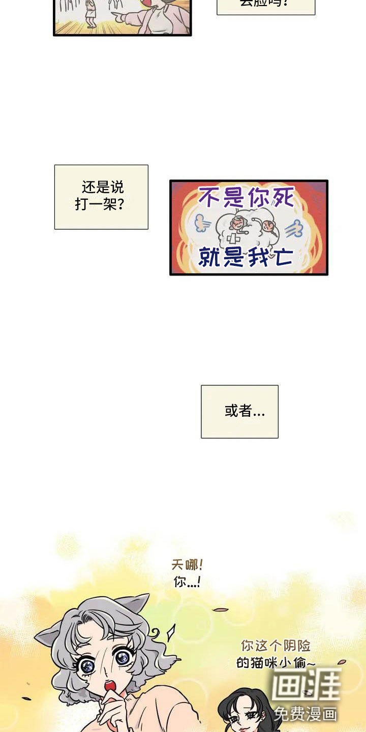 第4章：我的包呢？