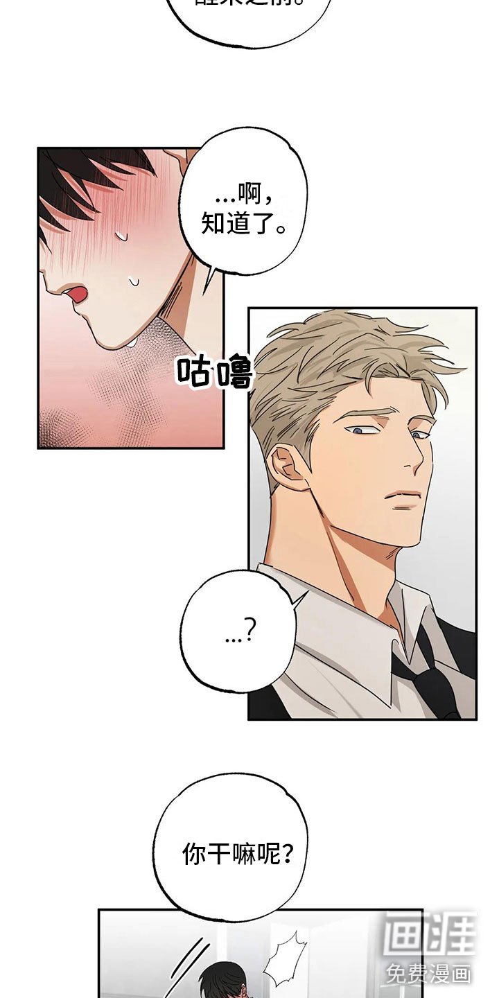 第4章：下药
