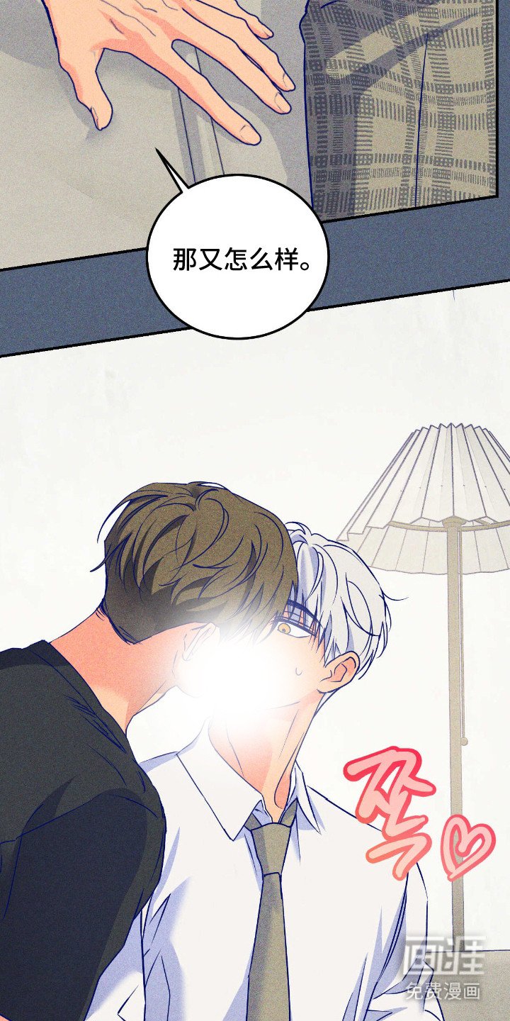 第13章：心意