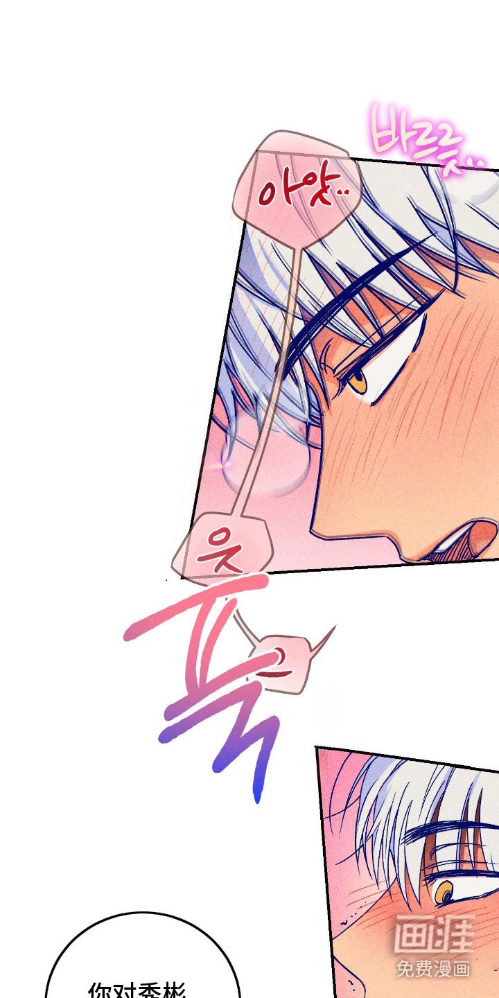 第9章：自怨自艾