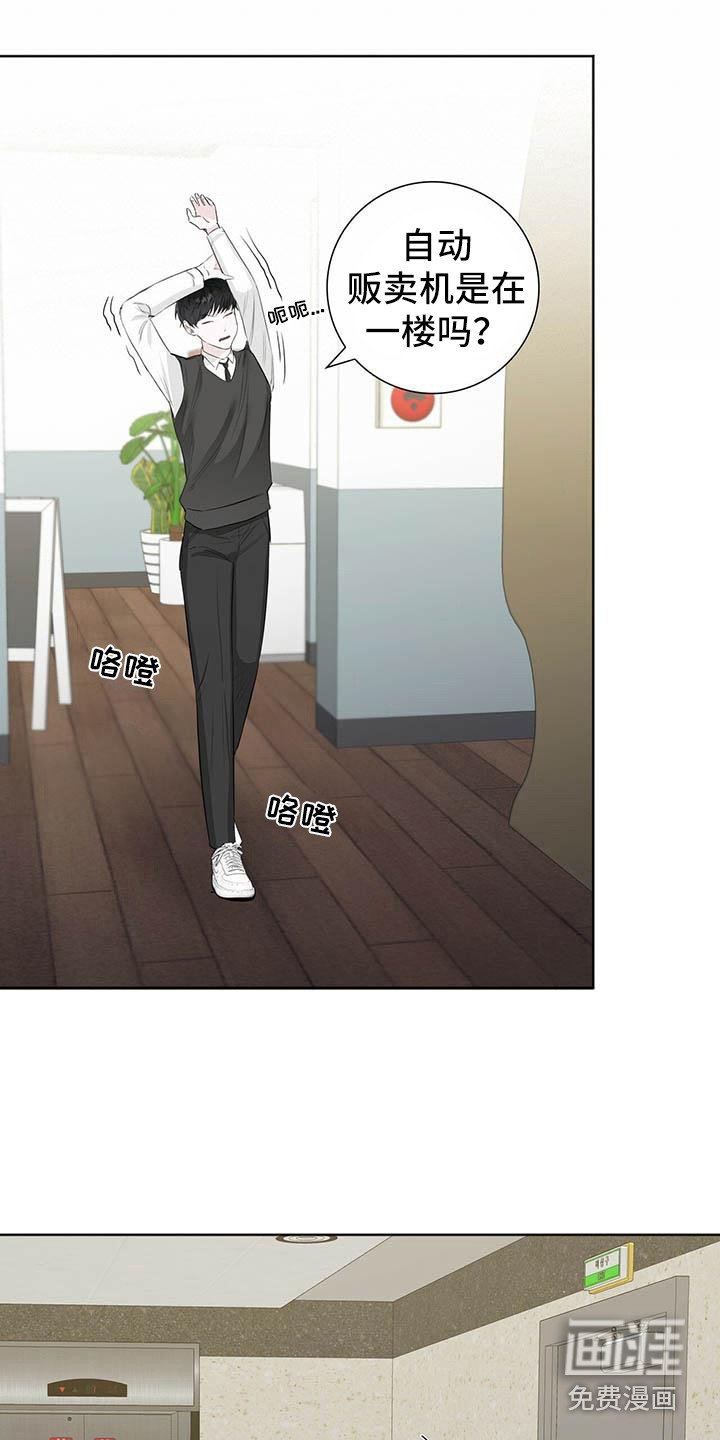 第12章：目睹
