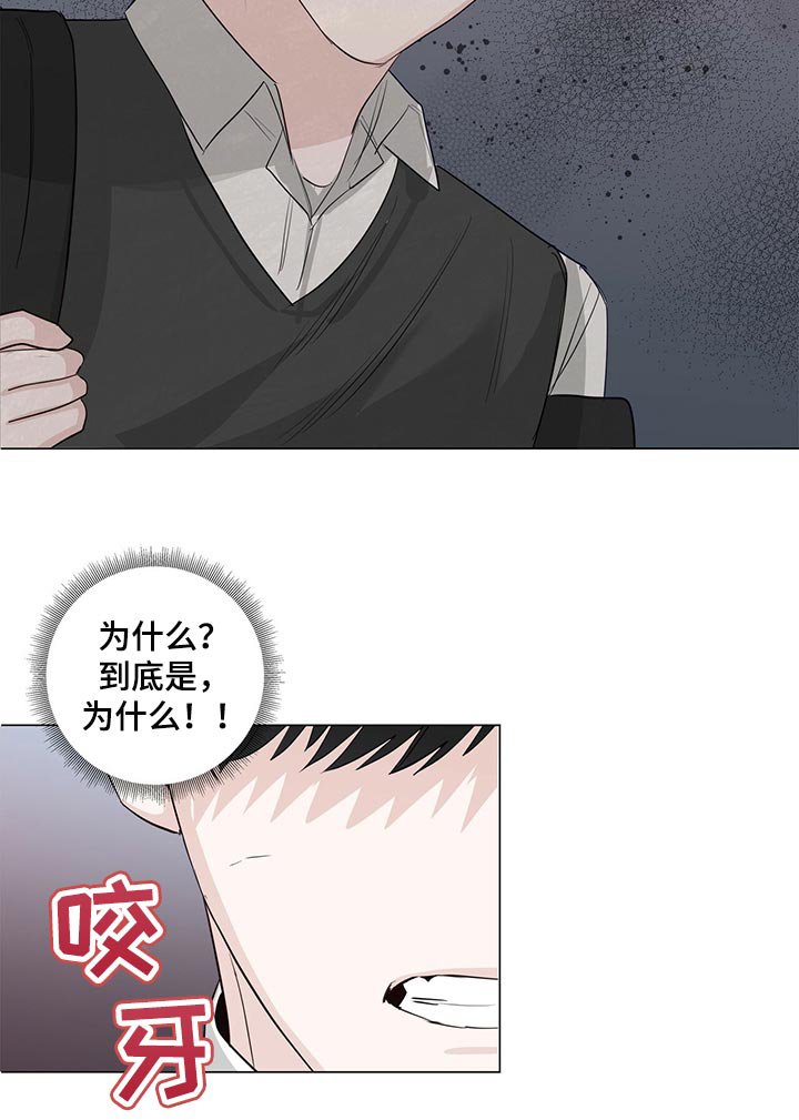 第25章：表白