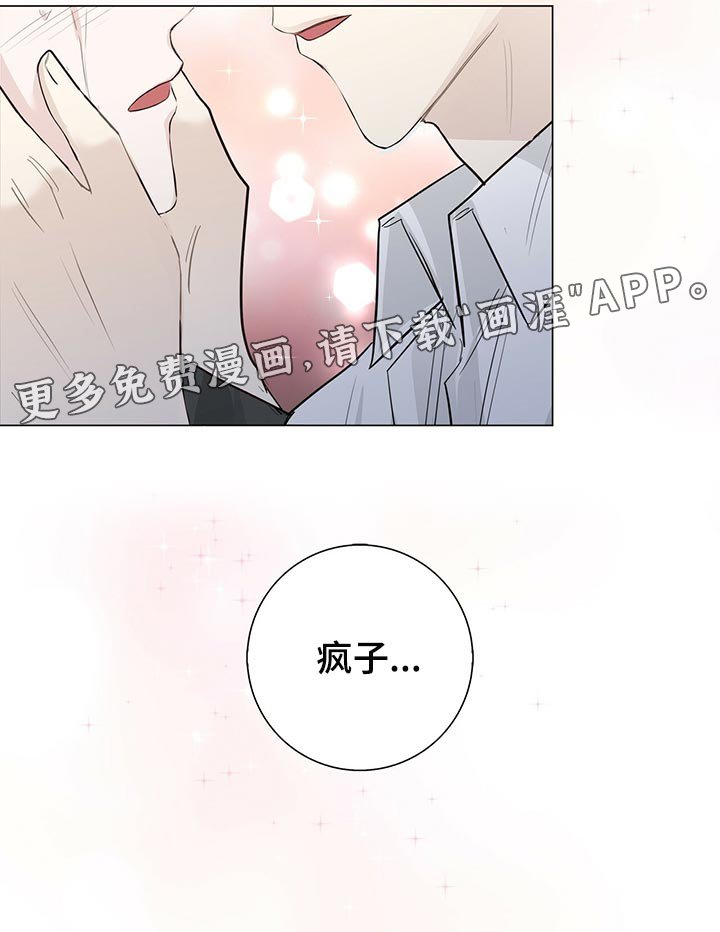 第25章：表白