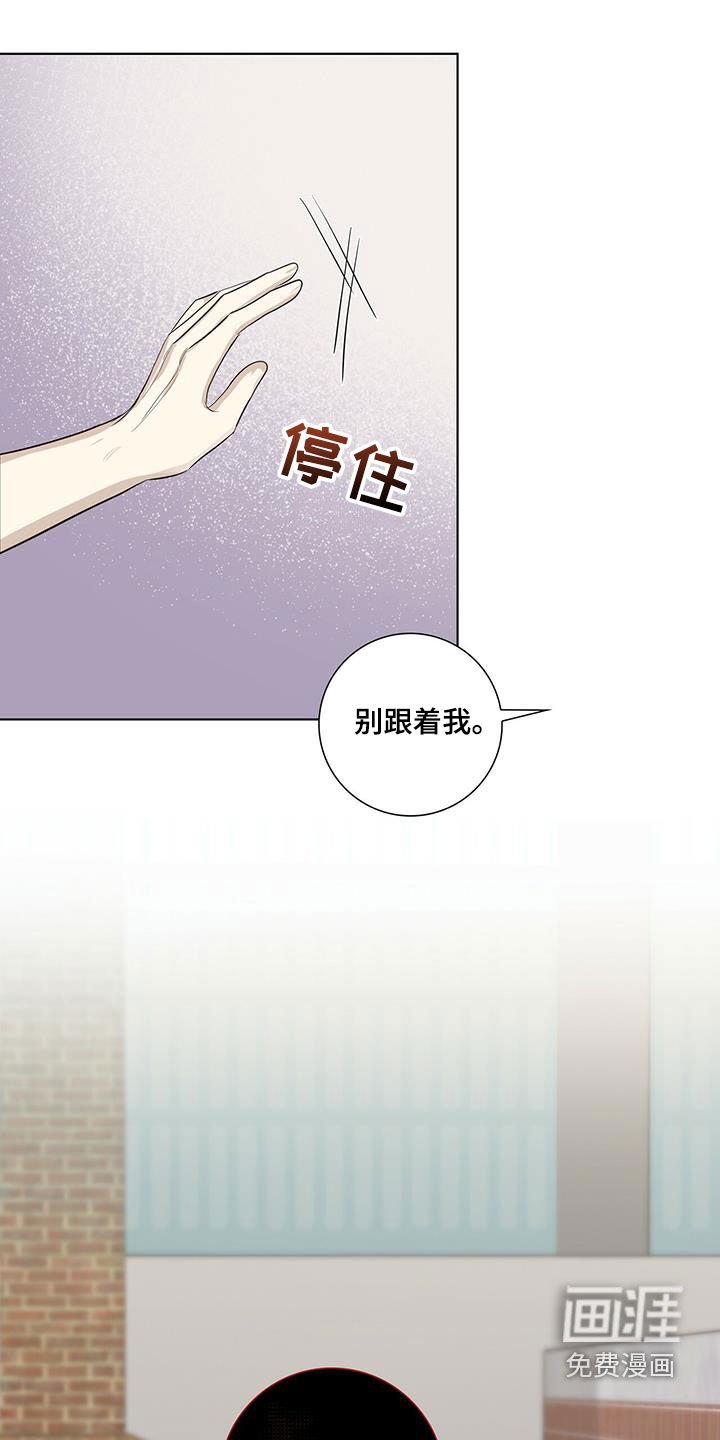 第41章：疯子