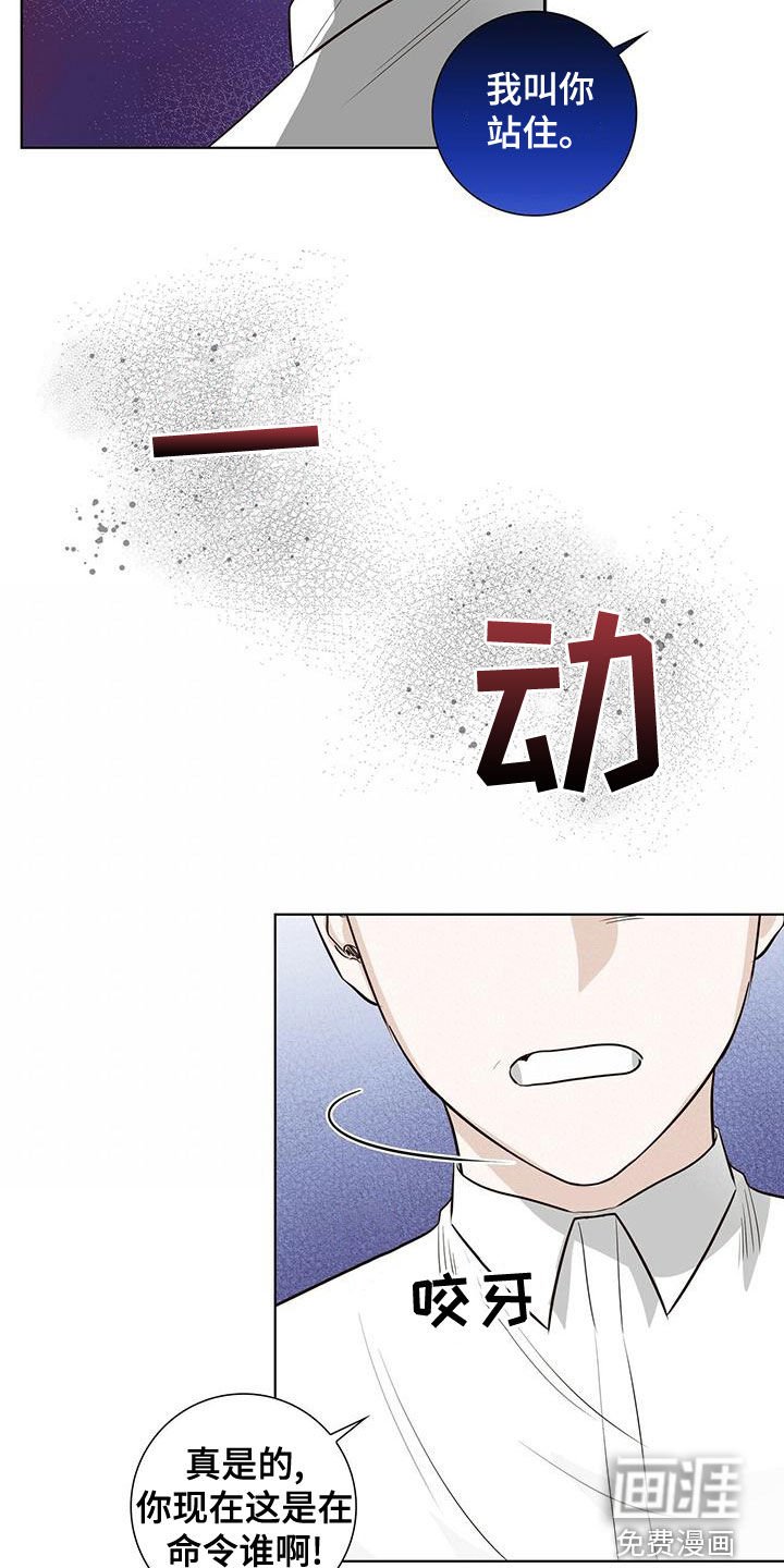 第43章：站住
