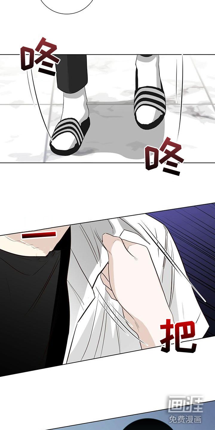 第43章：站住