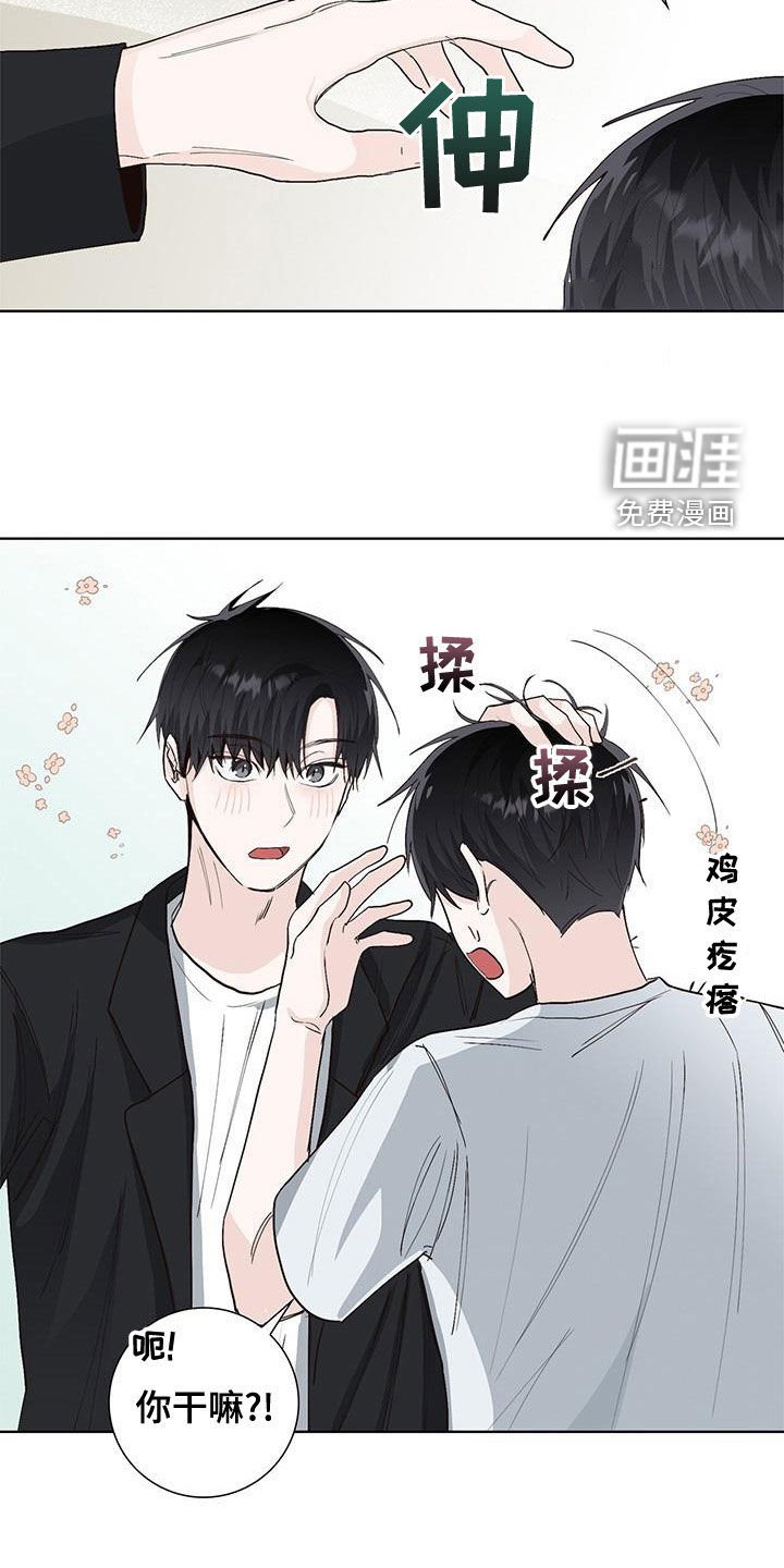 第50章：互相道歉
