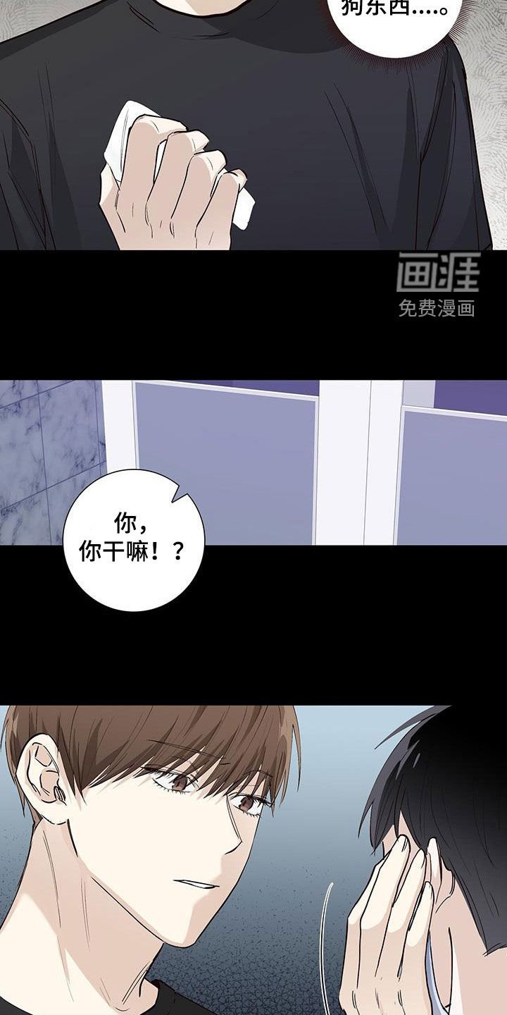 第56章：是真心的吗
