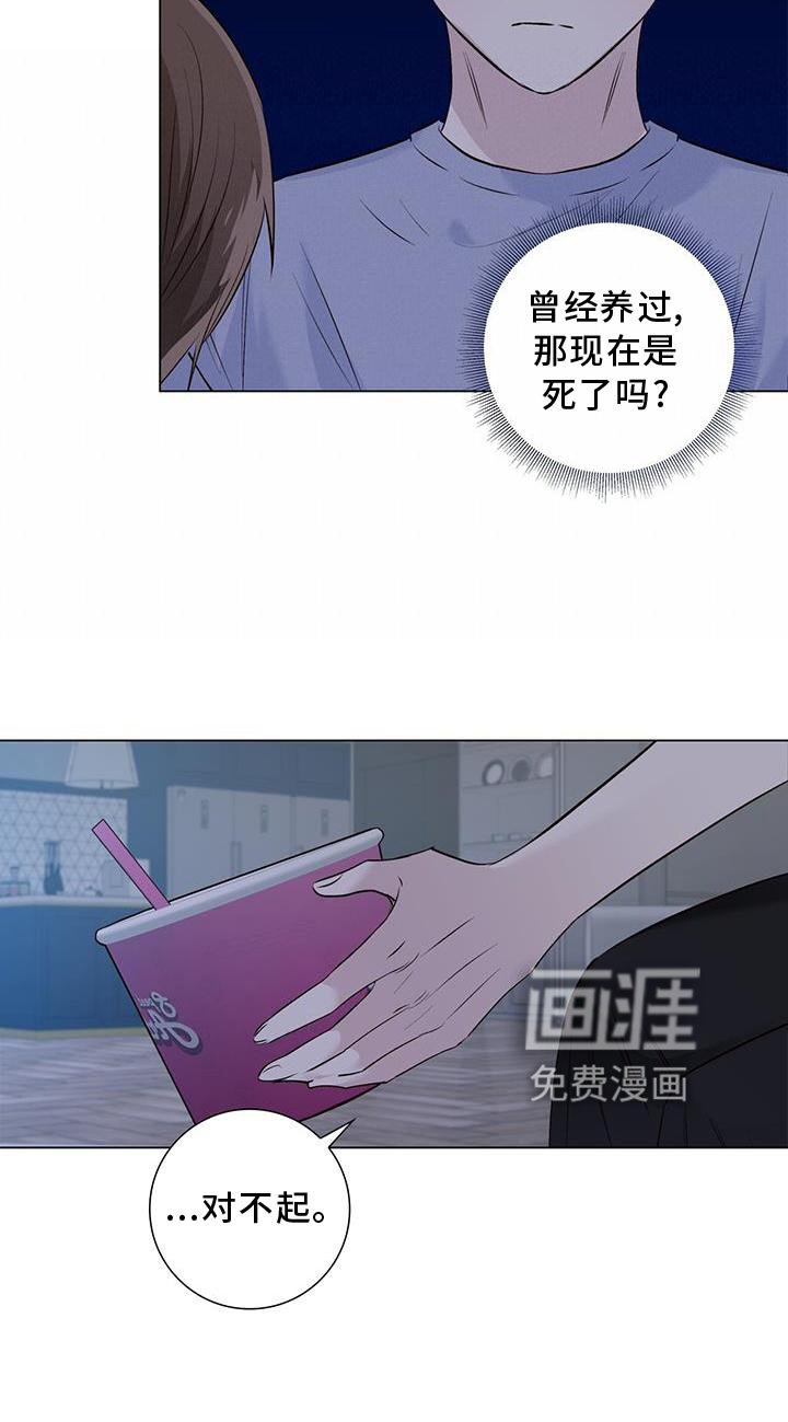 第67章：接吻