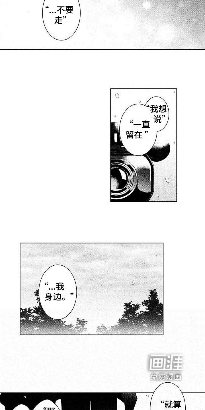 第19章：决定