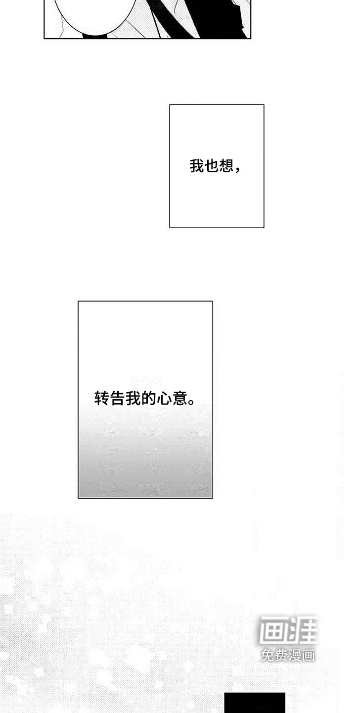 第19章：决定