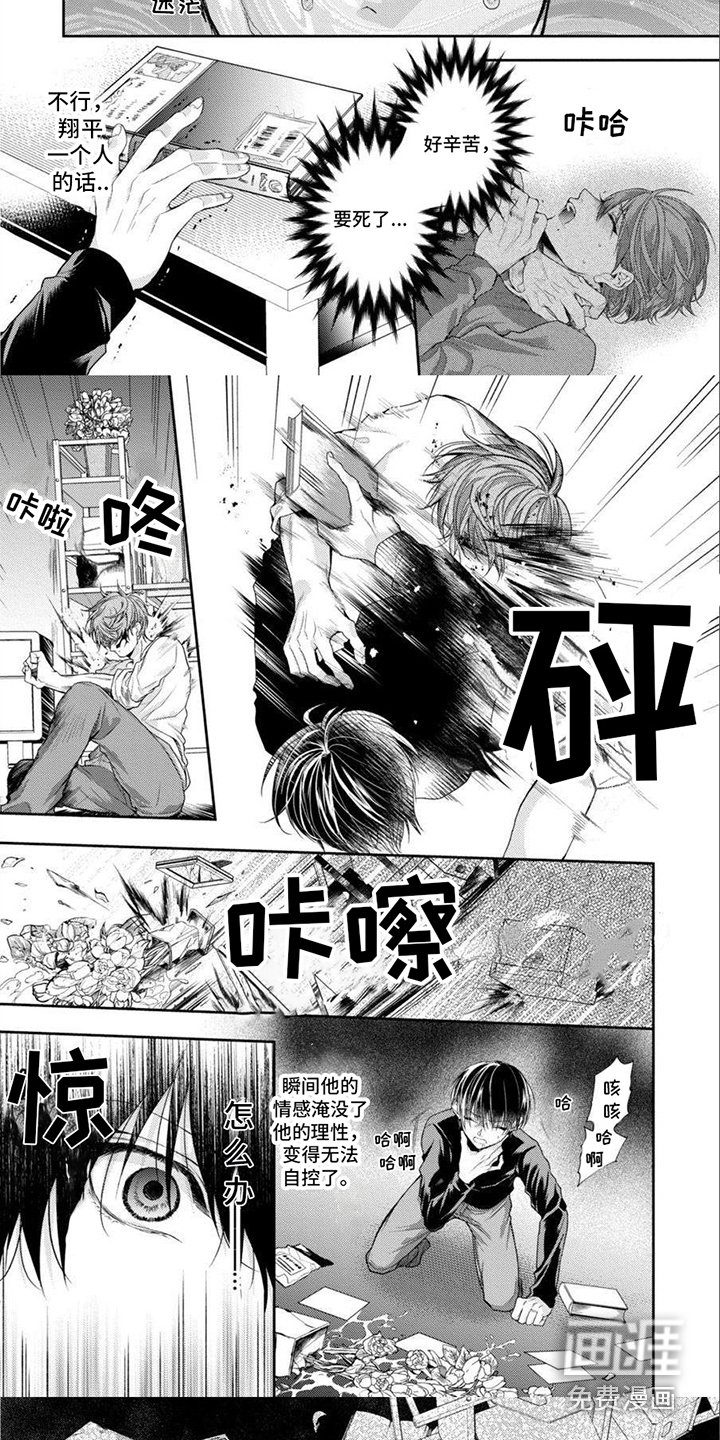 第13章：偏执