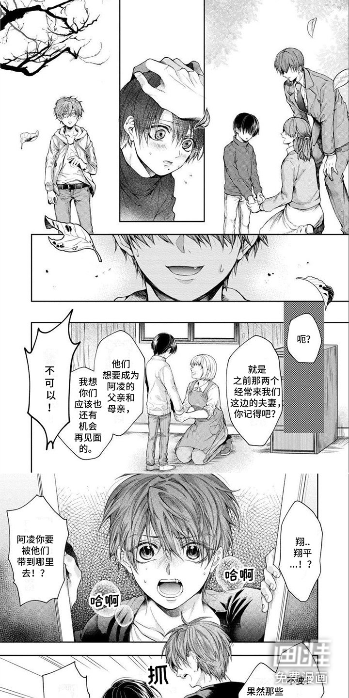 第15章：约定