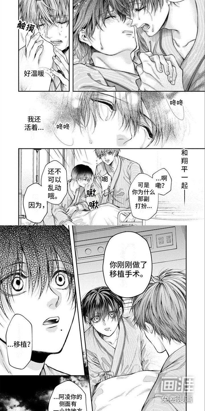 第18章：永远在一起（完结）