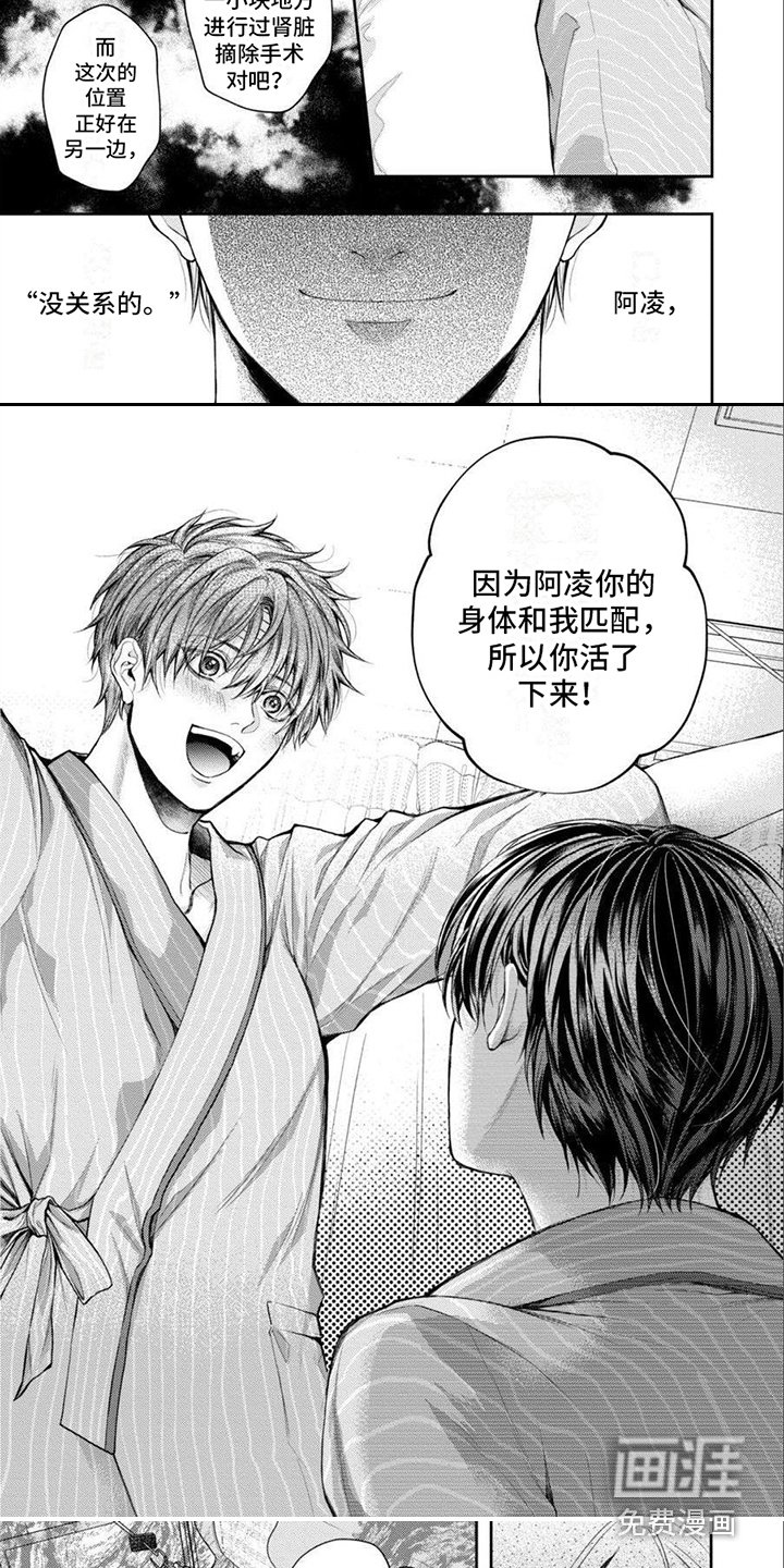 第18章：永远在一起（完结）