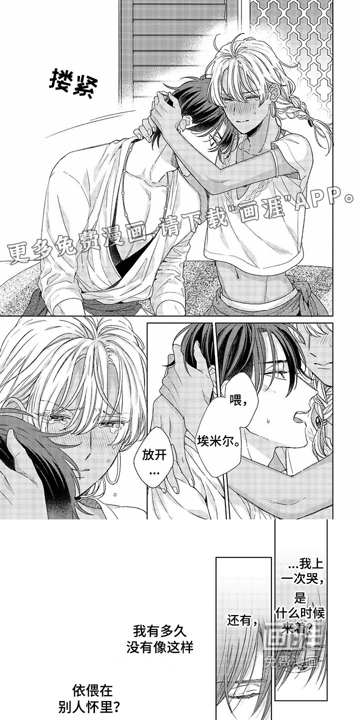 第13章：决定