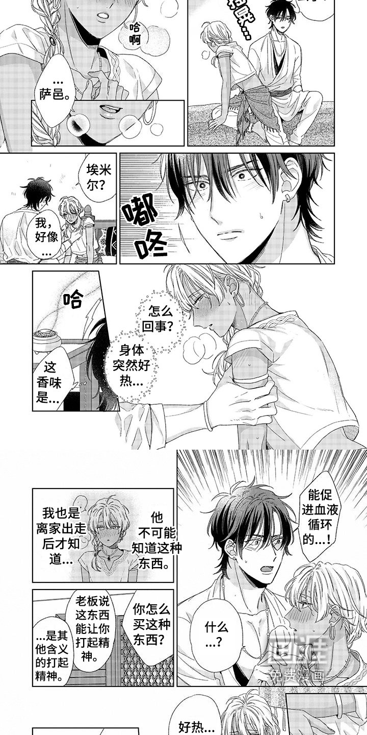 第13章：决定