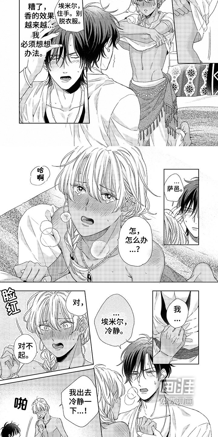 第13章：决定