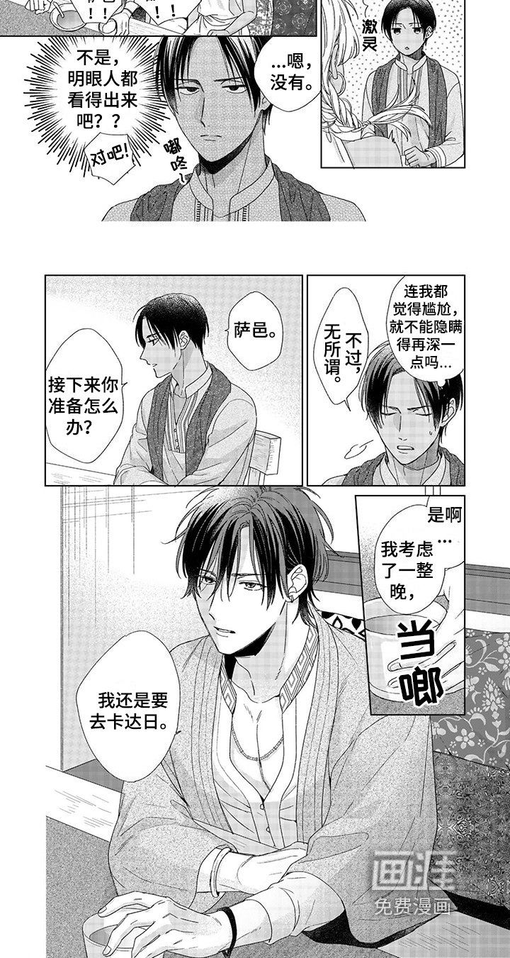 第13章：决定
