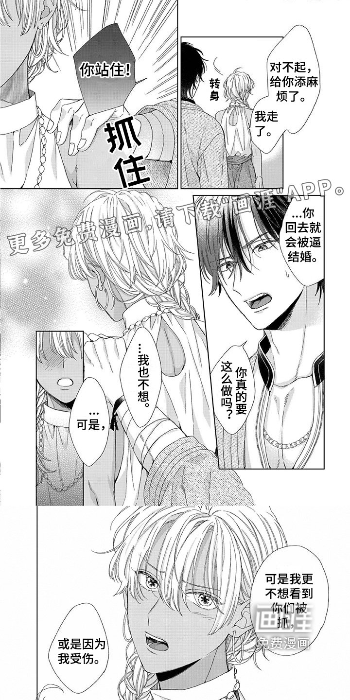 第19章：选择