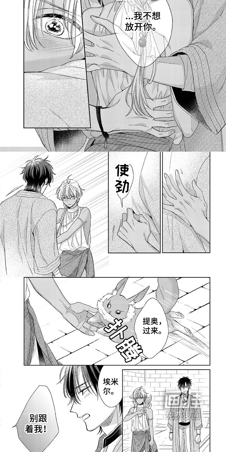 第19章：选择