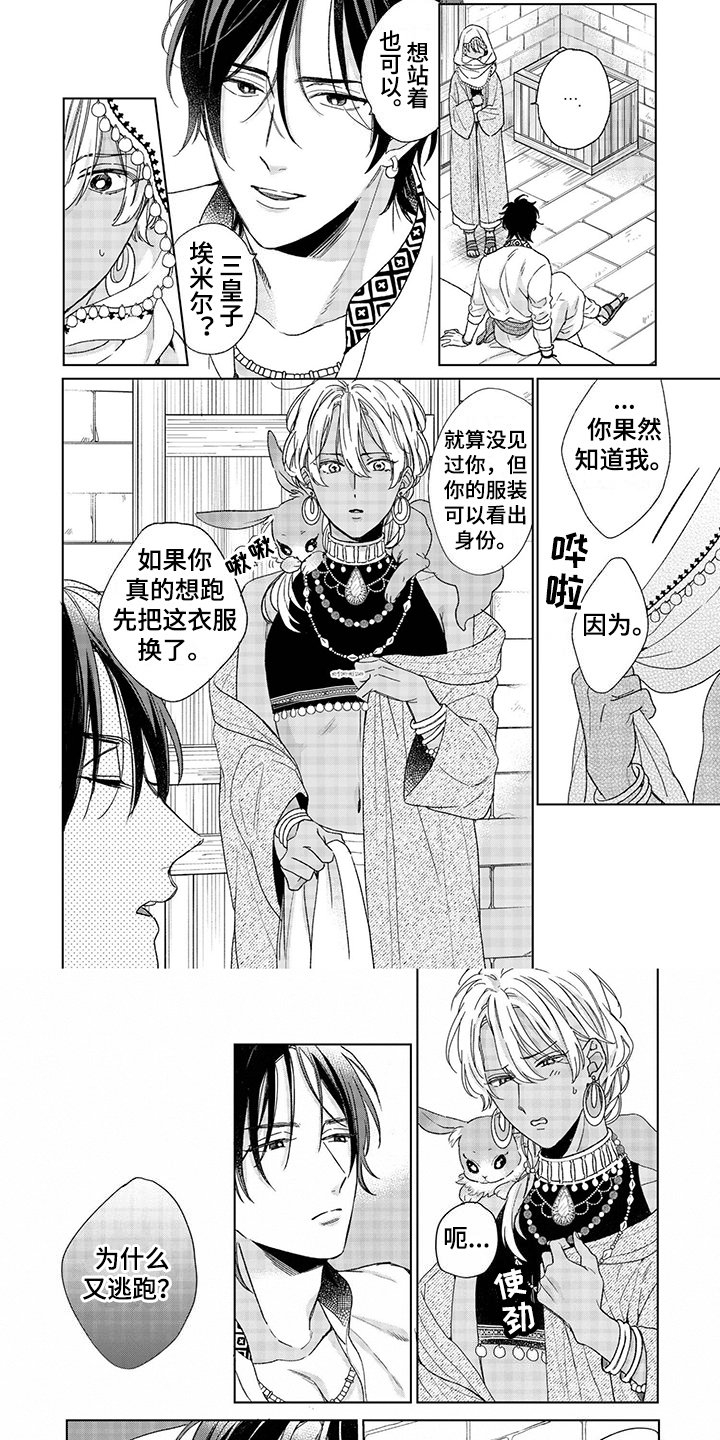 第2章：理由