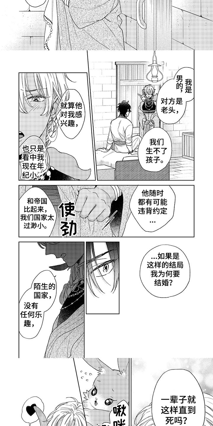 第2章：理由