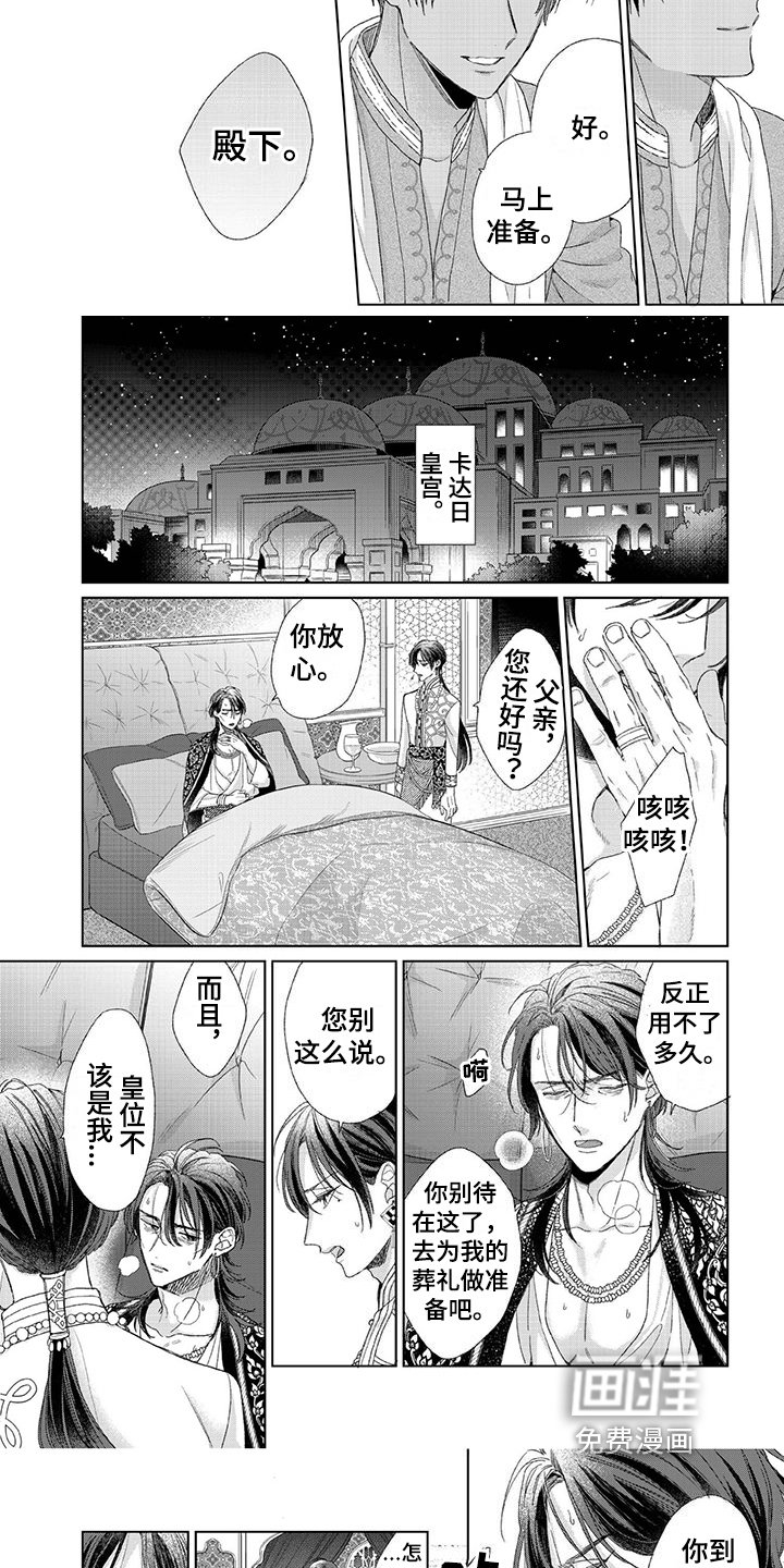 第20章：决心