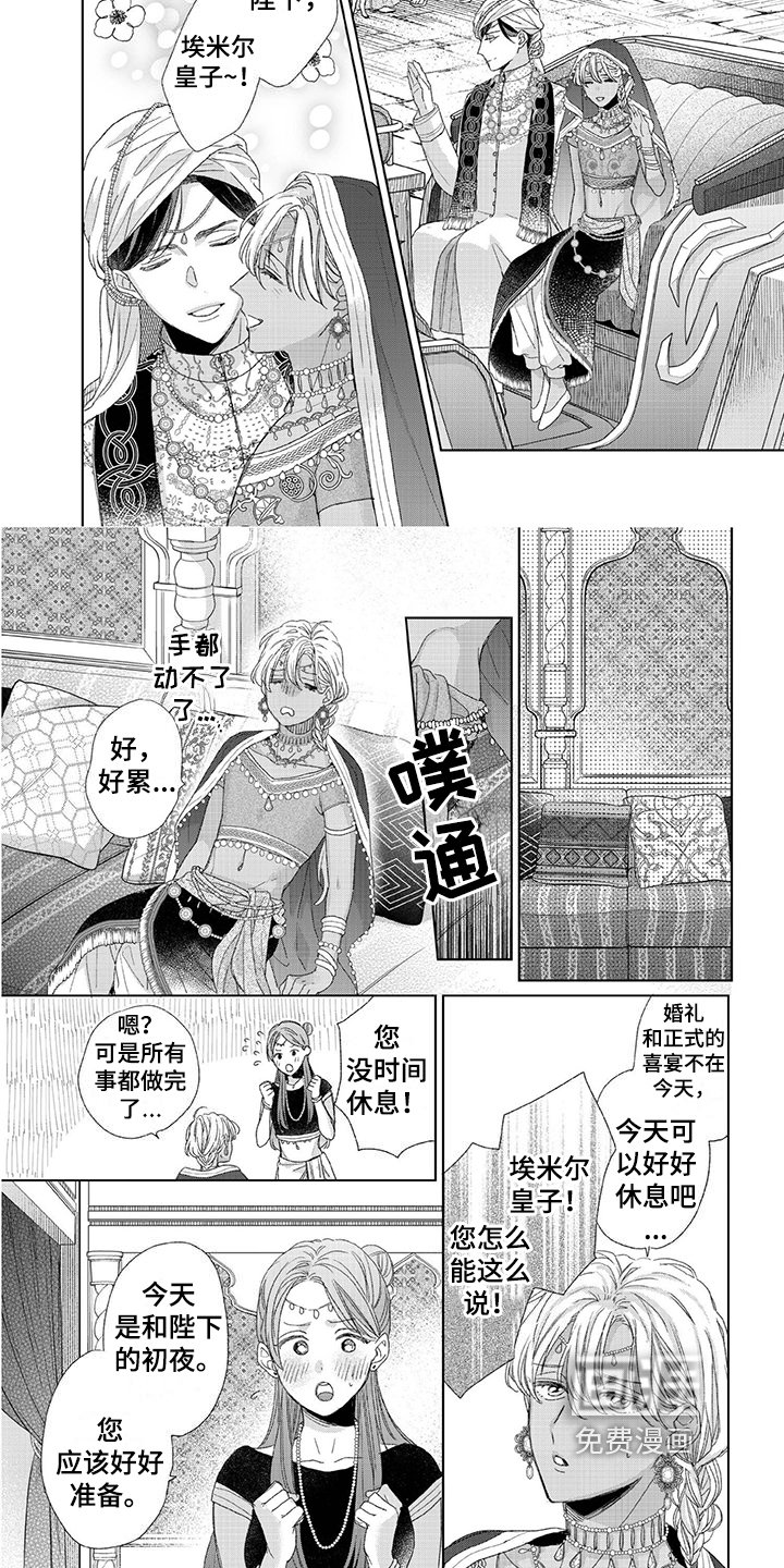 第23章：结婚【完结】