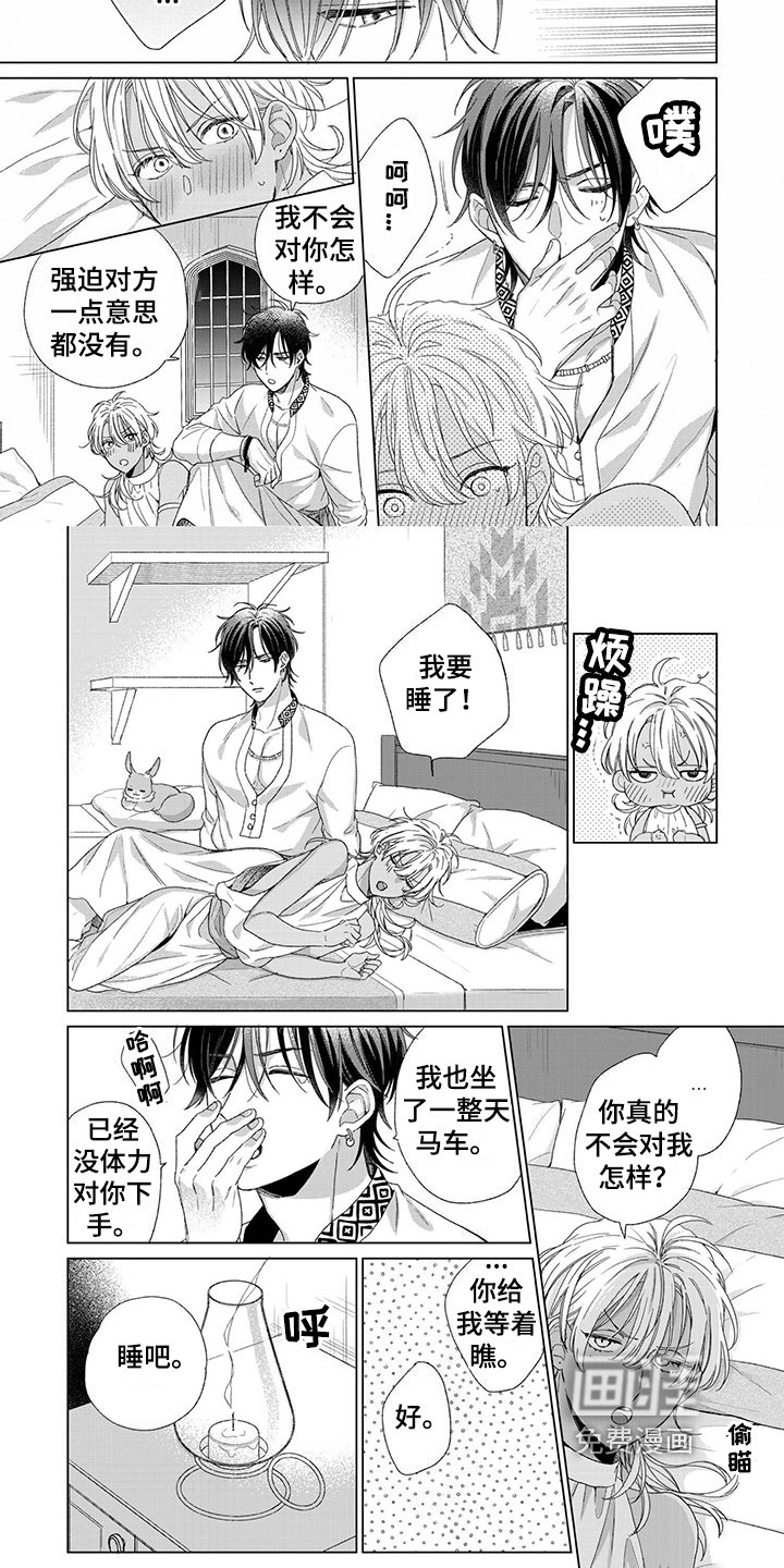 第6章：机会