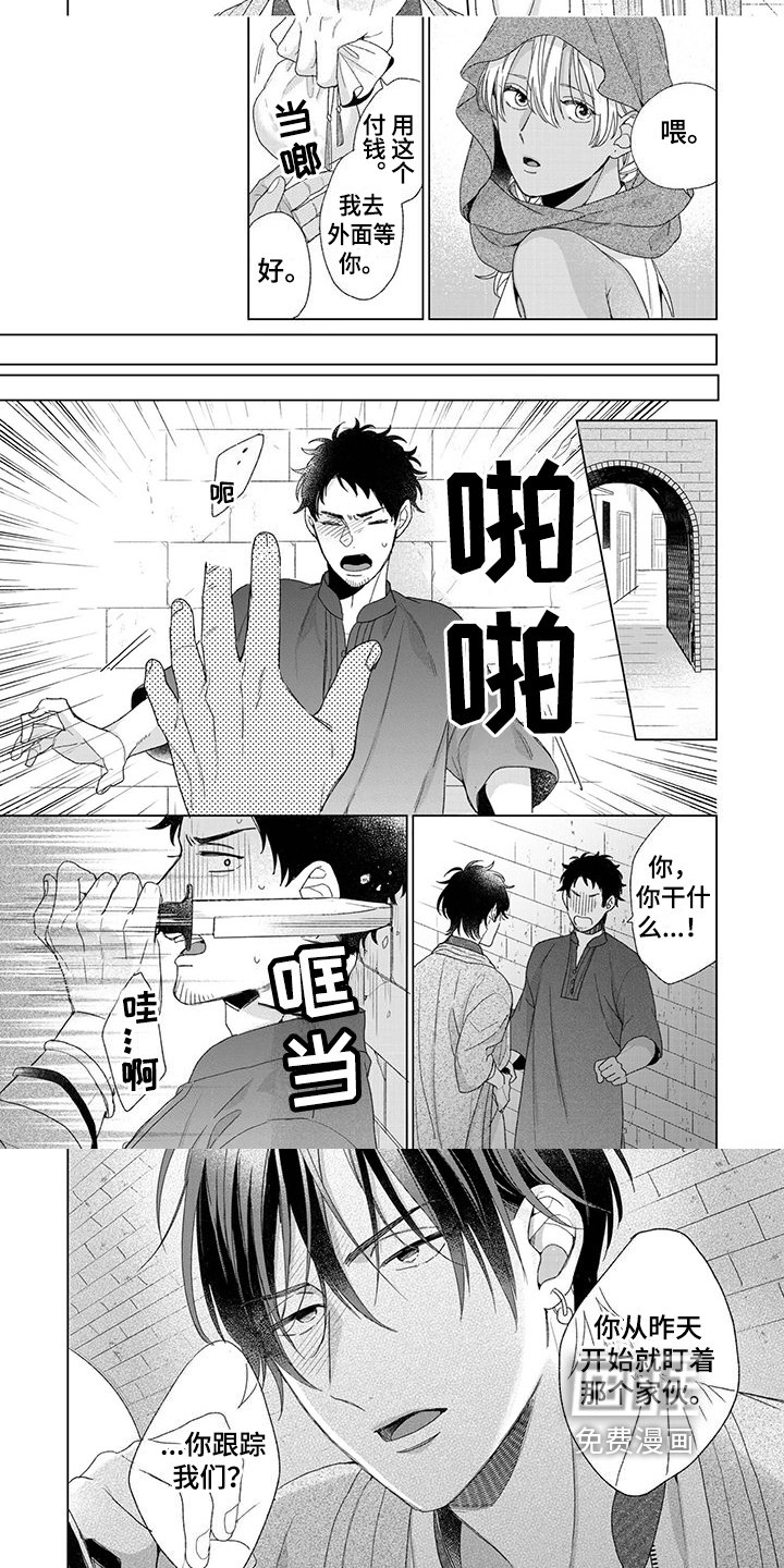 第8章：保护
