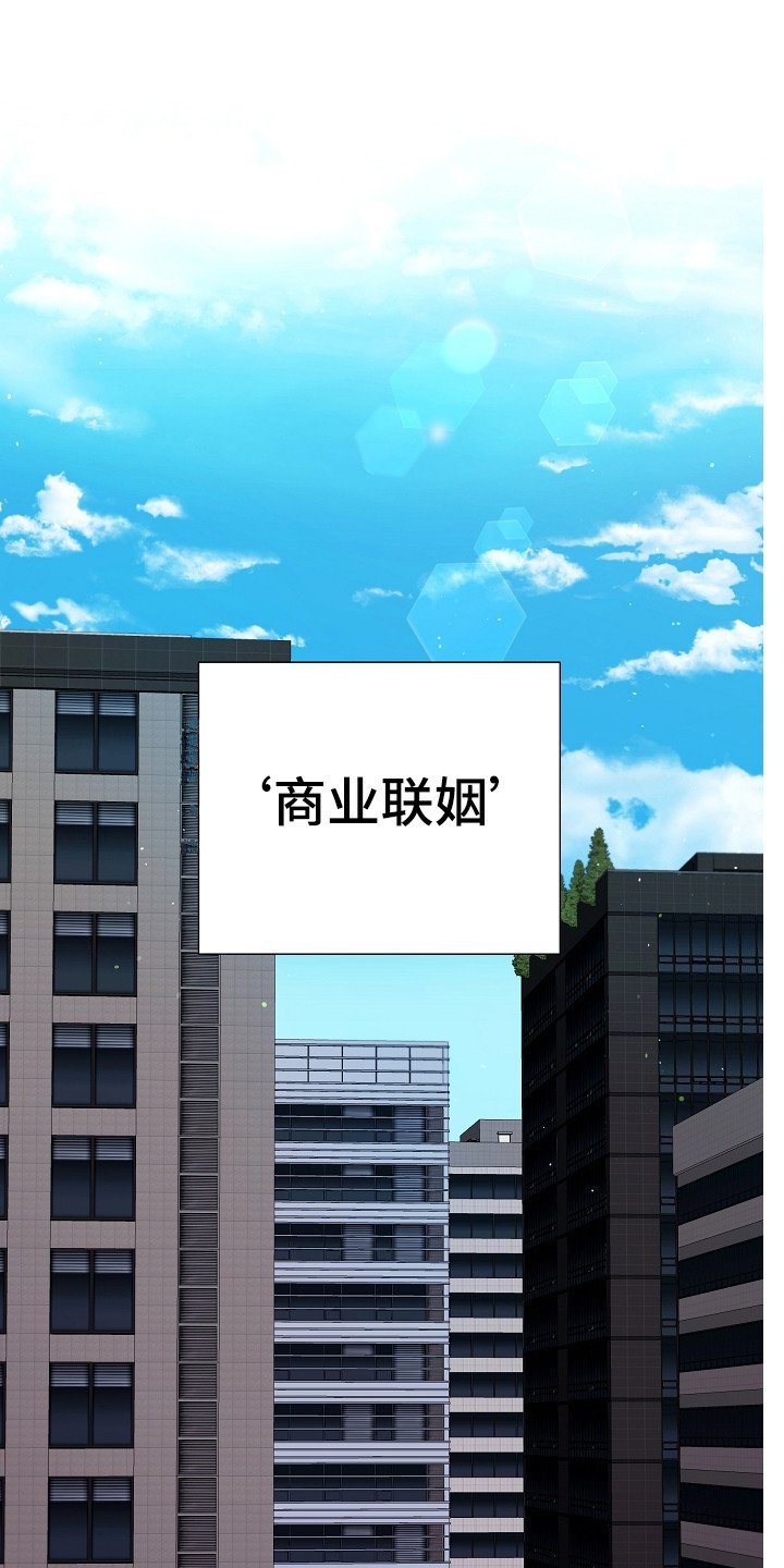 第1章：商业联姻
