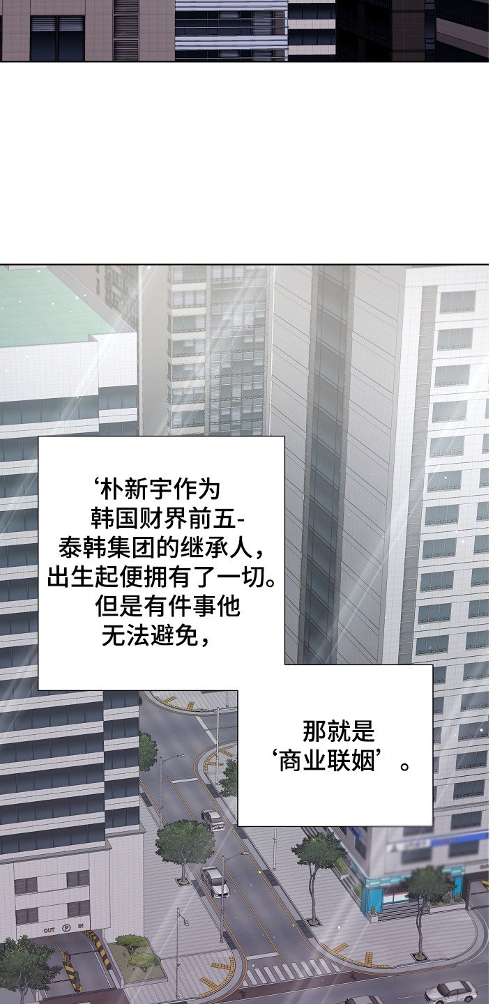 第1章：商业联姻