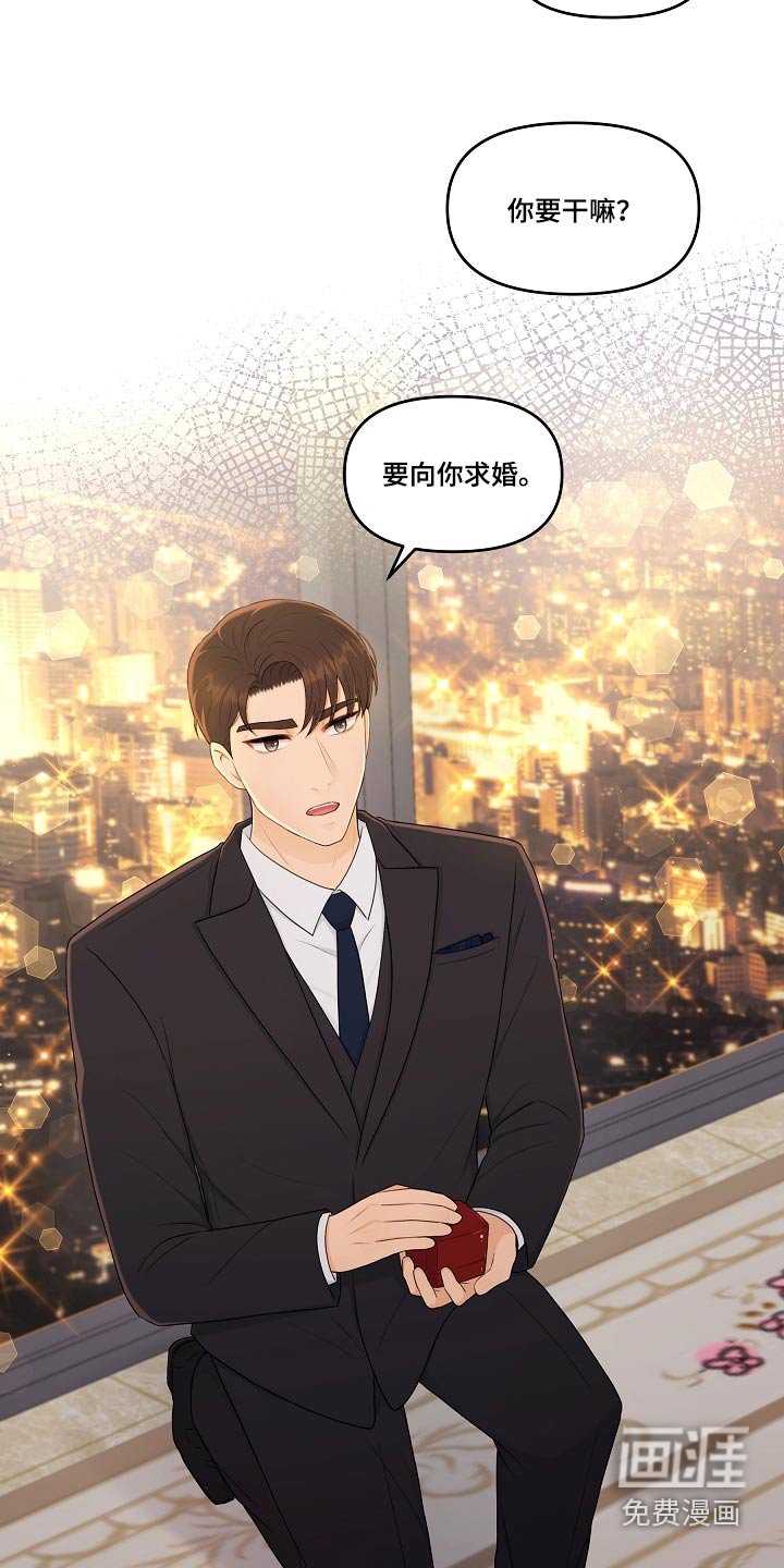 第104章：再次求婚 