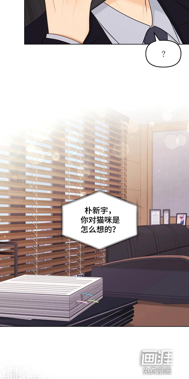 第41章：猫咪