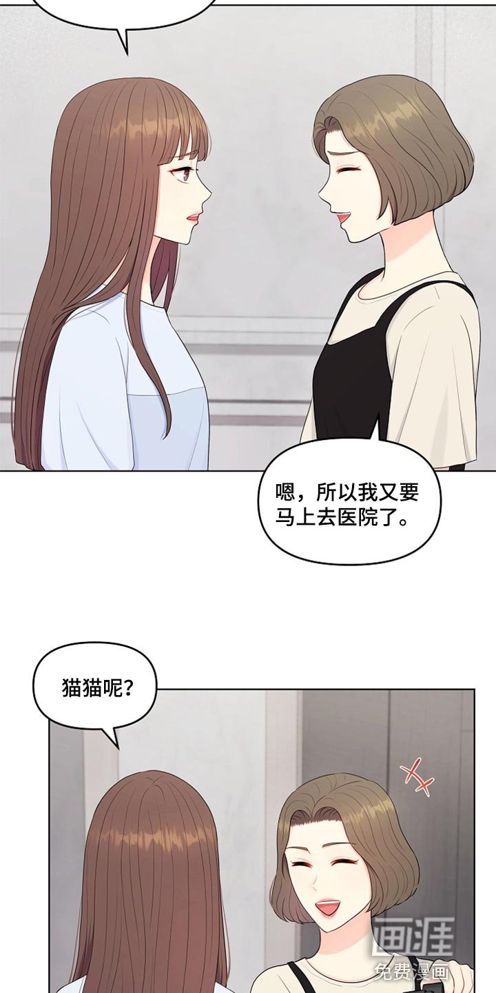 第41章：猫咪