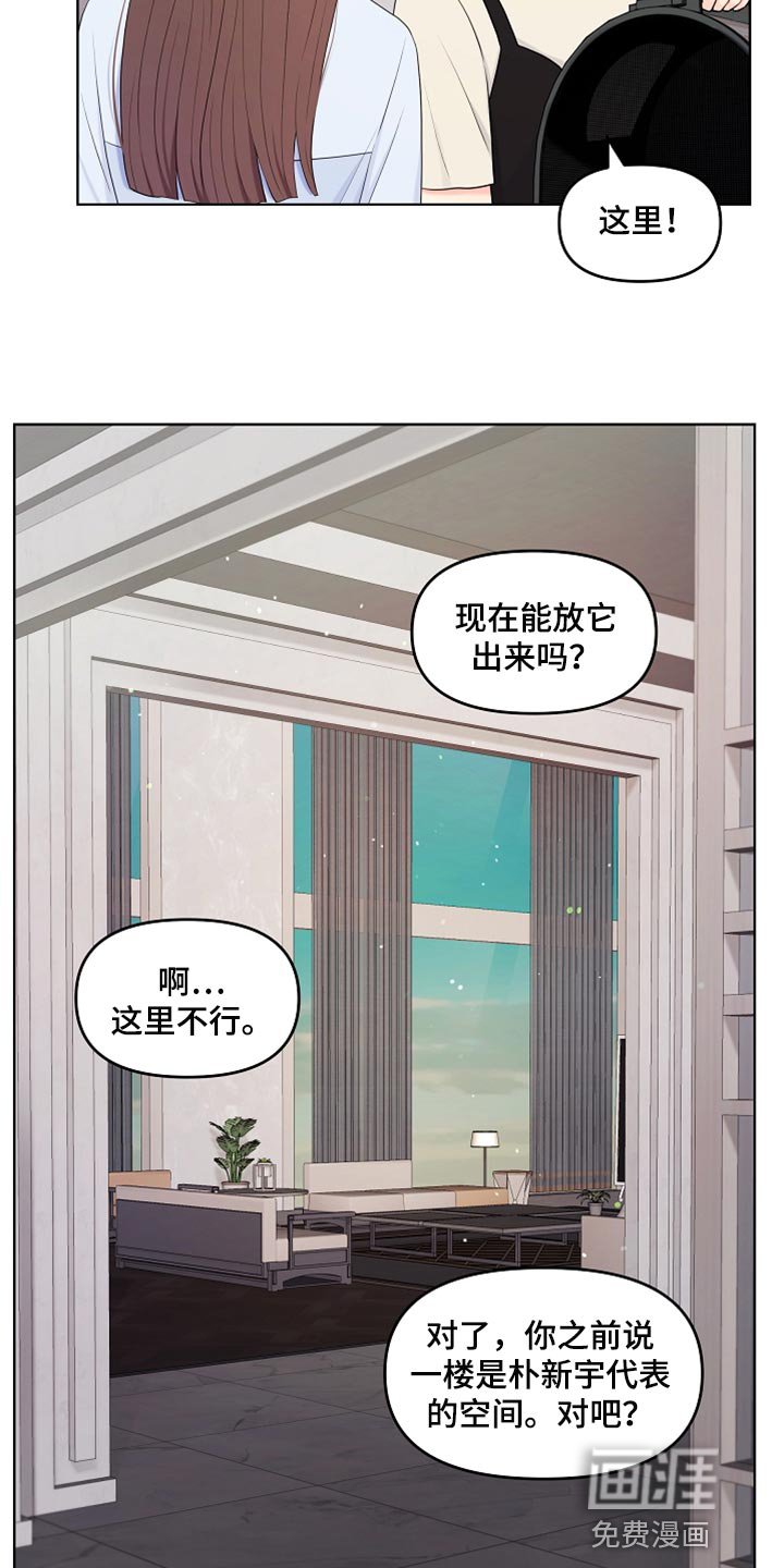 第41章：猫咪