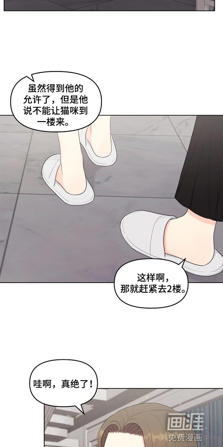 第41章：猫咪