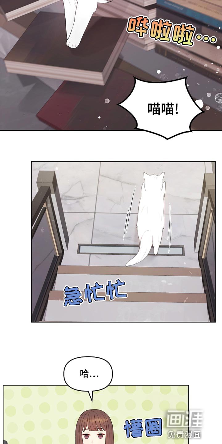 第43章：摔倒