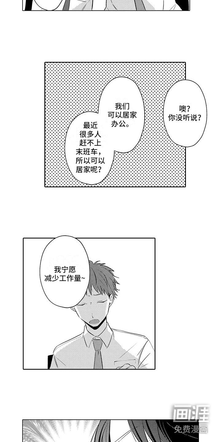 第17章：居家办公