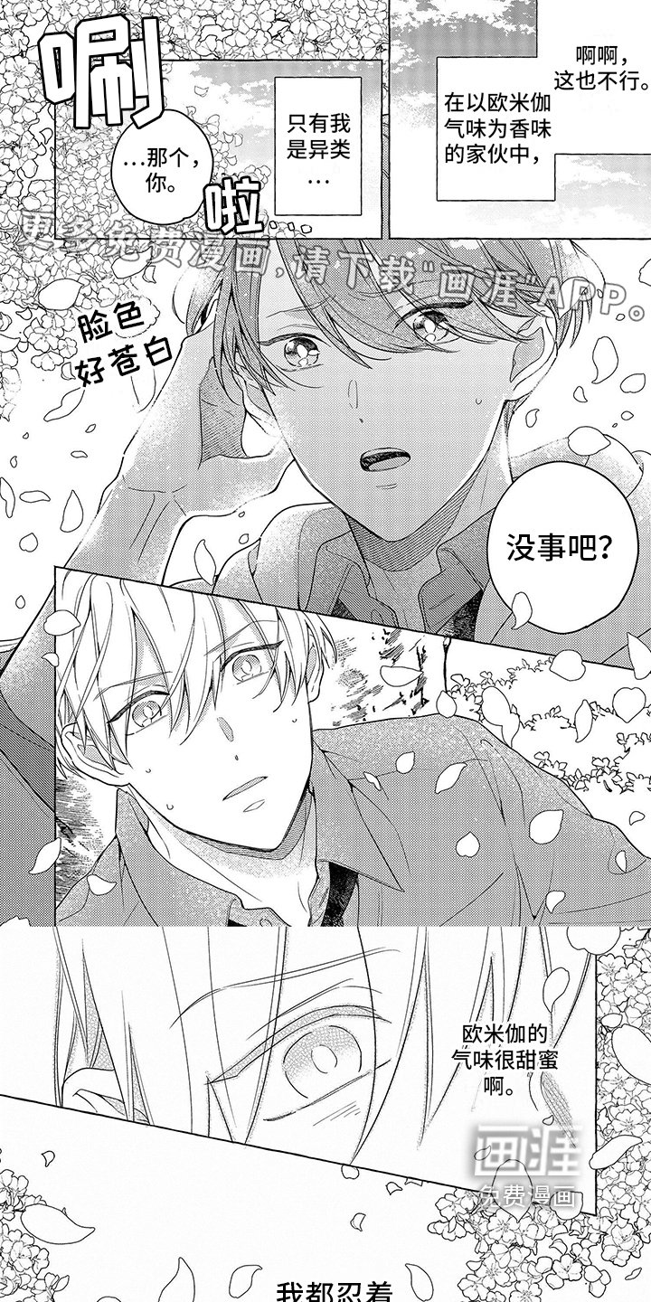 第11章：不同
